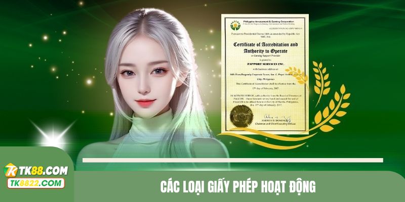 Các loại giấy tờ từ cơ quan hàng đầu mà TK88 sở hữu