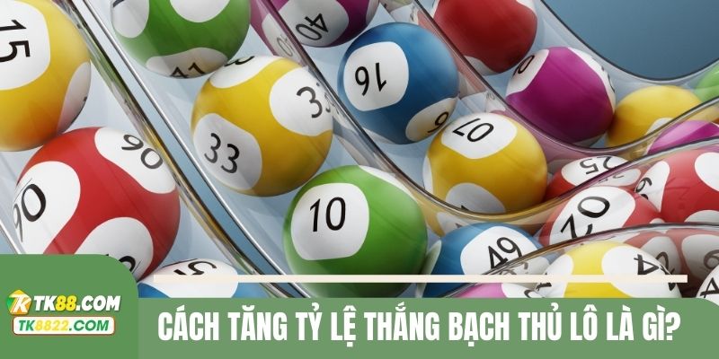 Cách tăng tỷ lệ thắng bạch thủ lô là gì?