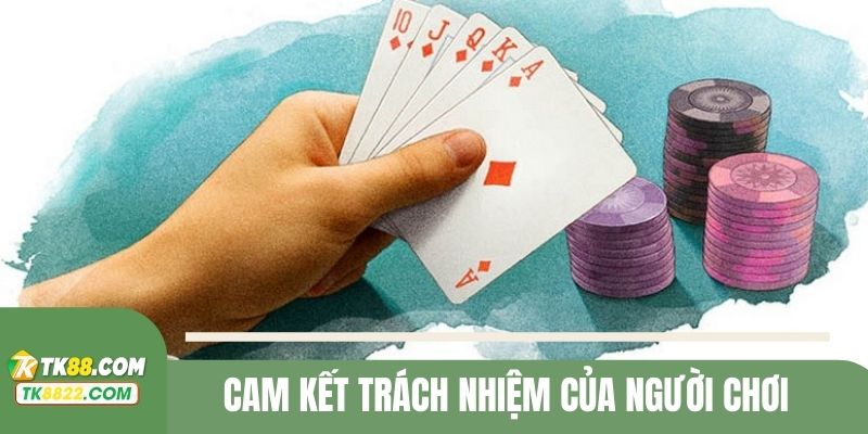 Cam kết của người dùng dựa trên nguyên tắc chơi có trách nhiệm
