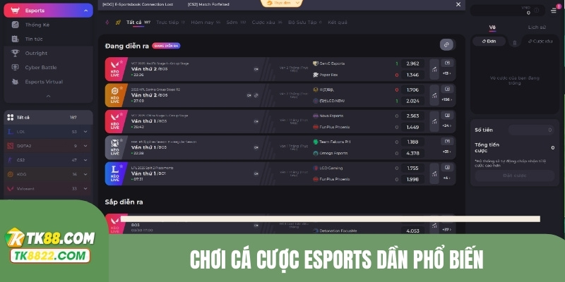 Chơi cá cược eSports dần phổ biến