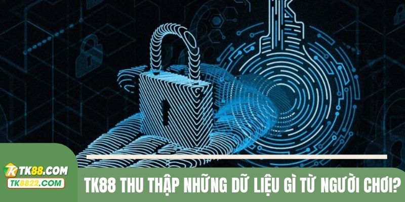 Một số dữ liệu nhà cái được quyền thu thập theo quy định của quyền riêng tư