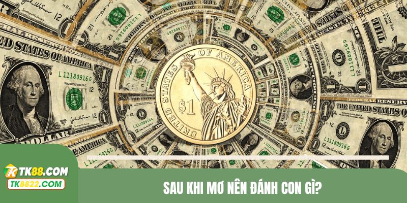 Sau khi mơ nên đánh con gì?