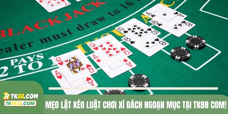 Mẹo lật kèo luật chơi xì dách ngoạn mục tại TK88 COM
