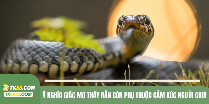 Ý nghĩa giấc mơ thấy rắn còn phụ thuộc cảm xúc người chơi
